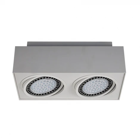 Накладной точечный светильник Zumaline Boxy Cl 2 20075-WH