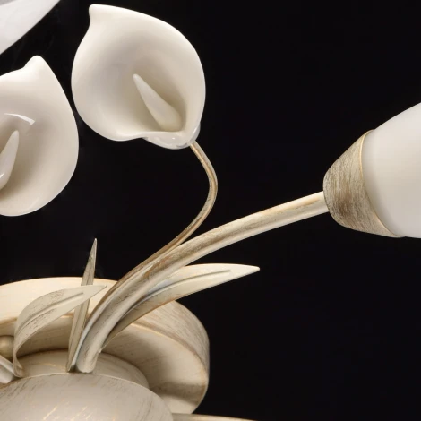 Потолочная люстра MW-Light Восторг 242016906 (220V, цветы, листья)