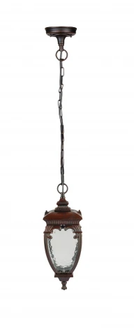 Уличный светильник подвесной Oasis Light VERONA 86205 R
