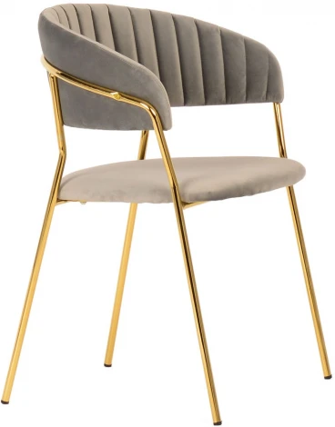 Комплект из 2-х стульев Bradexhome Turin латте, золотые ножки