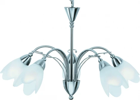 Подвесная люстра Arte Lamp Petal A4905LM-5SS