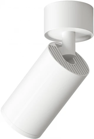 Накладной точечный светильник Denkirs DK2029-WH (LED, 220V, круглые)