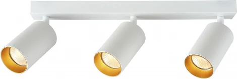 Потолочный светильник спот Brizzi Aras BR08088