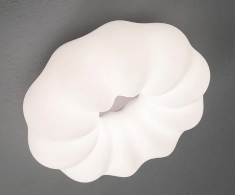 Потолочный светильник с пультом Zortes Soft ZRS.1118.3 (LED, 220V, цветы)