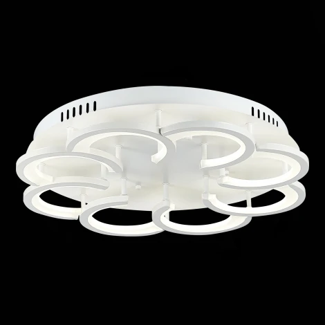 Потолочная люстра Evoluce Bonn SLE200502-08