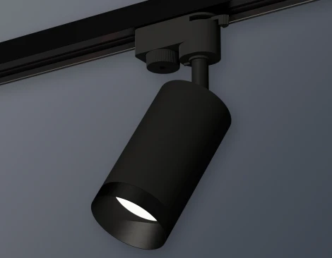 Трековый светильник Ambrella Track System XT6323061 (круглые)