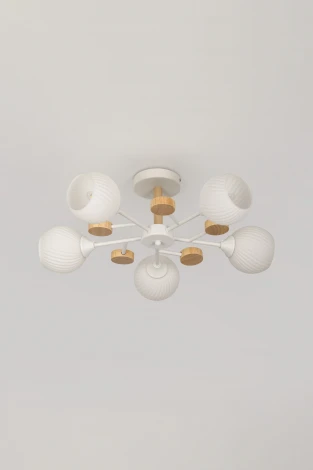 Потолочная люстра на штанге Rivoli Chiara 9180-305