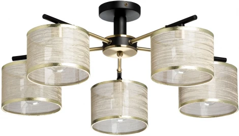 Потолочная люстра MW-Light Лацио 103013005