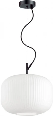 Подвесной светильник Odeon Light Roofi 4754/1 (220V, на тросе)