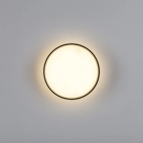 Накладной потолочный светильник Lightstar Acuto 215937 (LED, 220V, круглые)