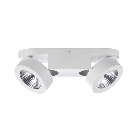 Спот Odeon Light Laconis 3538/2LC