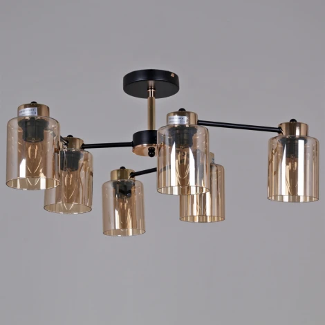 Потолочная люстра на штанге Reluce 01606-0.3-06 BK+FGD (220V)