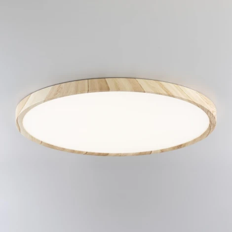 Настенно-потолочный светильник Citilux Бейсик CL738322V (регулировка яркости, LED, 220V, круглые, IP40)