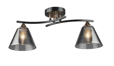 Потолочная люстра на штанге SL8241-2 CF+GD Мелодия Света SL1N 000065848