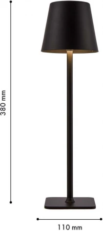 Настольная лампа с аккумулятором F-Promo Pyari 4615-1T (LED, 220V)