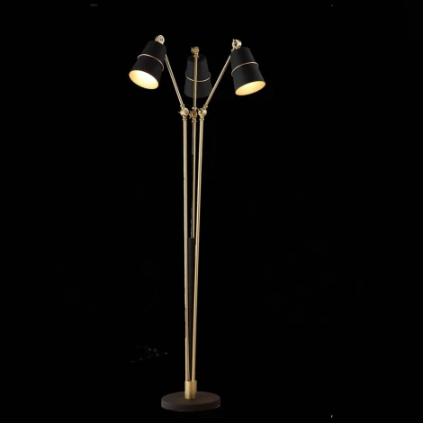 Торшер ST Luce Sorspreso SL458.425.03