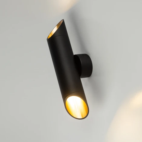 Настенный светильник ЭРА WL52 BK/GD