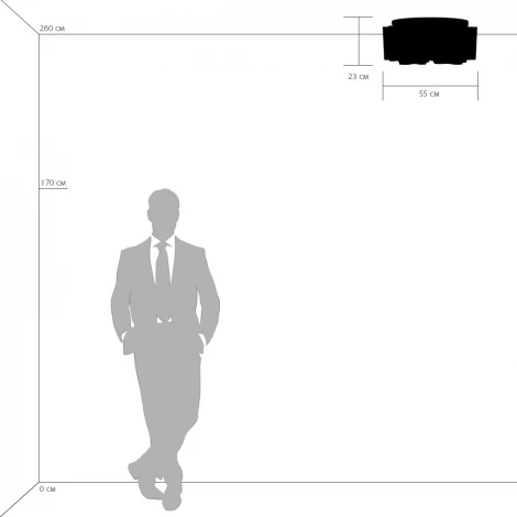 Потолочная люстра Lightstar Nubi 802070 (220V)