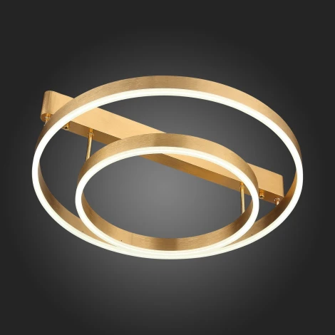 Потолочная люстра ST Luce Onze SL944.202.02