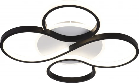 Потолочная люстра Rivoli Lori 6103-101