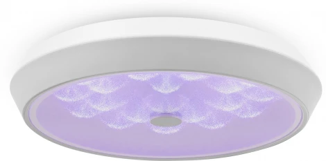 Потолочный светильник RGB круглый Freya Cells FR10012CL-L24W (LED, 220V, пульт управления, круглые)