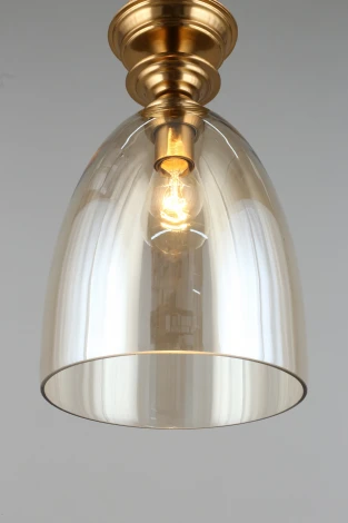 Подвесной светильник Aployt Rena APL.602.06.01 (220V, на проводе, круглые)