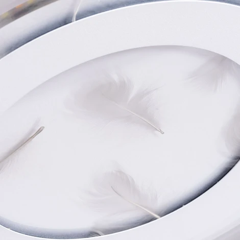 Потолочный светильник Arte Lamp Multi-piuma A1397PL-1CL