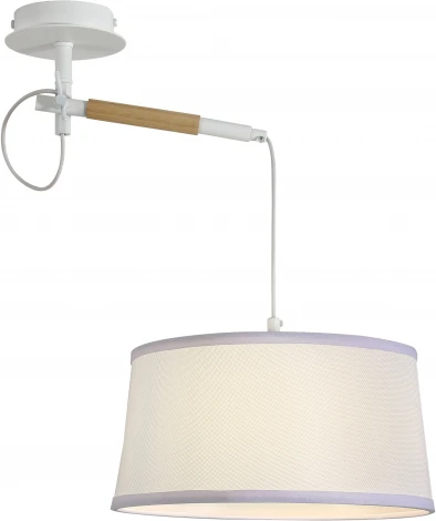 Настенно-потолочный светильник F-Promo Eureka 3005-1P (220V, круглые)