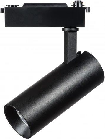 Трековый светильник Lightstar Fuoco 218227 (LED, 220V, круглые)