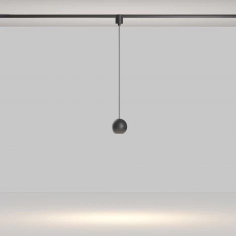 Трековый светильник Maytoni Elasity Sfera TR165-1-8W3K-M-B (LED, 48V, шар)