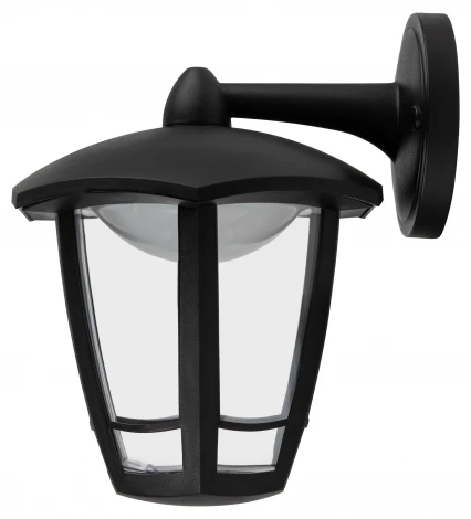 Настенный фонарь уличный светодиодный ЭРА ДБУ 07-8-006 3000К «Дели 3» черный