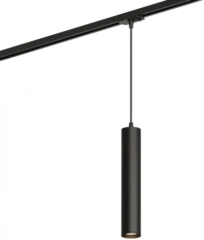 Трековый светильник Denkirs DK620 DK6210-BK (220V, круглые)