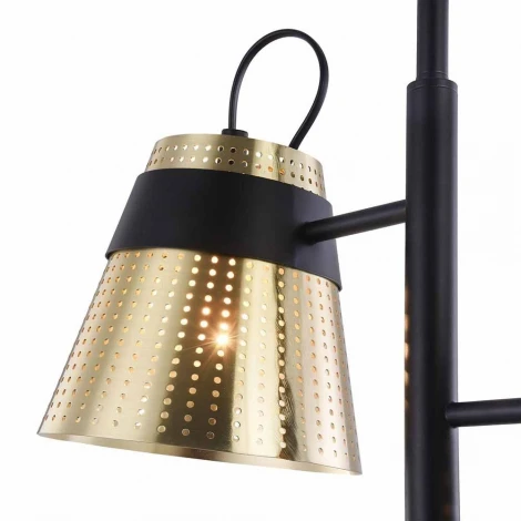 Торшер Maytoni Trento MOD614FL-02BS
