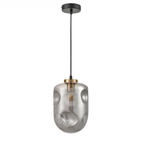 Подвесной светильник Vele Luce Alieno VL5352P31