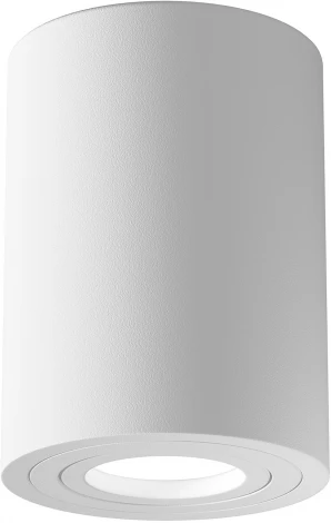 Накладной потолочный светильник Atom GU10 1x50Вт Maytoni Technical C016CL-01W (220V)