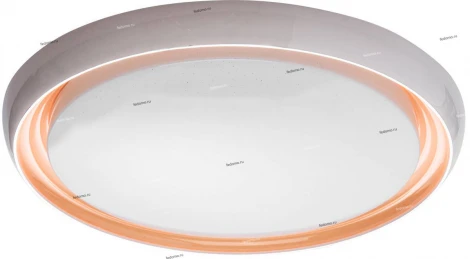 Потолочный светильник DeMarkt Ривз 674011801