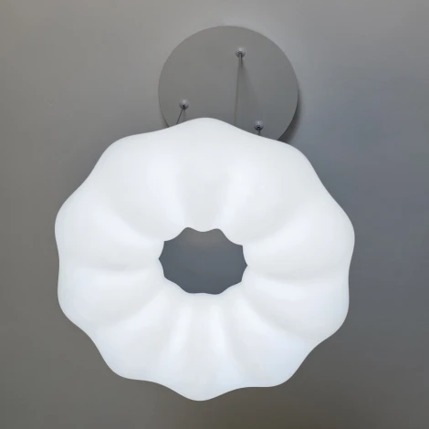 Подвесной светильник с пультом Zortes Soft ZRS.1119.01 (LED, 220V, на тросе, цветы)