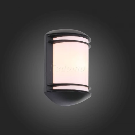 Настенный светильник уличный ST Luce Agio SL076.401.01