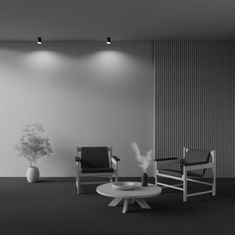 Накладной потолочный светильник Pauline GU10 1x10Вт Maytoni Technical C008CW-01B (220V)