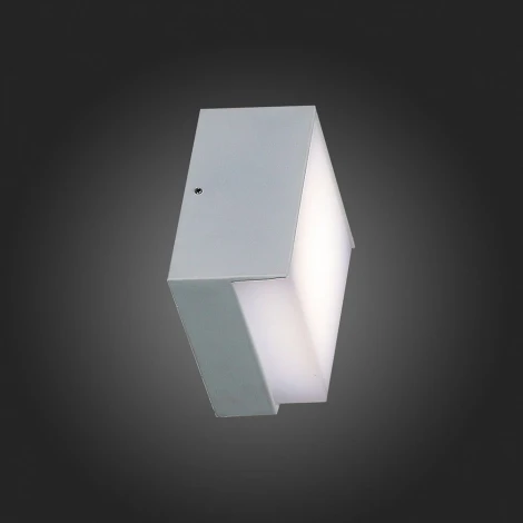 Настенный светильник уличный ST Luce Linata SL090.501.01