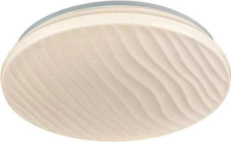 Потолочный светильник светодиодный с пультом AM Group AM197 AM197 D450