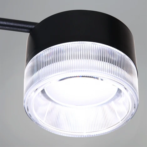 Подвесная люстра Reluce 19490-0.4-6+6 Black