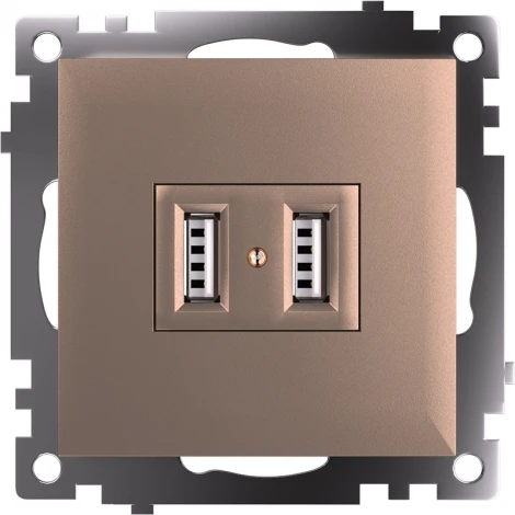 Розетка с USBх2 (шампань) Stekker Катрин 39602