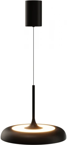 Подвесной светильник Maytoni Gerhard MOD189PL-L39B3K (LED, 220V, круглые)