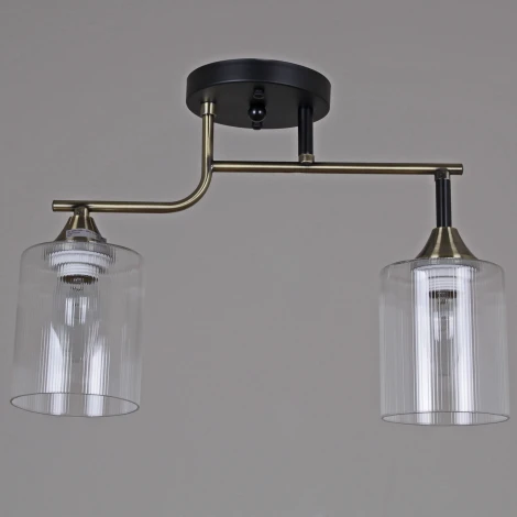 Потолочная люстра на штанге Reluce 02312-0.3-02 AB+BK (220V)