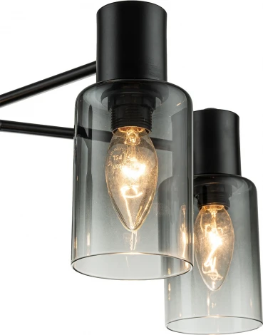 Потолочная люстра на штанге Diversity Escada 2120/5P E14*40W Black (220V)