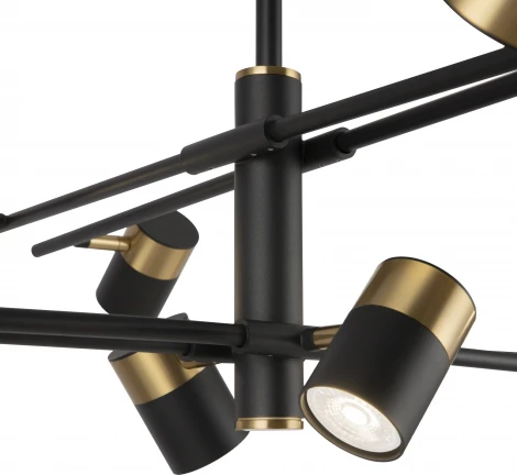 Потолочная люстра на штанге Freya Enzo FR5201PL-10B (220V)