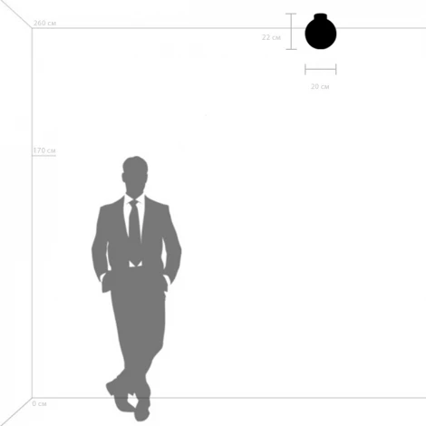 Потолочный светильник круглый Lightstar Globo 812027 (220V, шар)