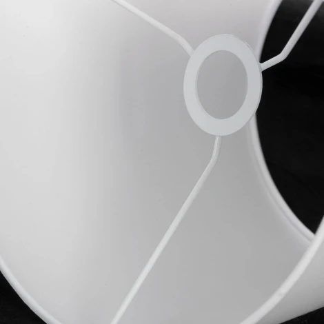 Интерьерная настольная лампа для чтения Lussole Loft Ajo LSP-0551 (220V, IP21)