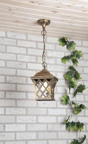 Уличный светильник подвесной Elektrostandard Cassiopeya H (220V, на цепи, IP44)